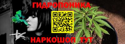 мяу мяу мука Заводоуковск