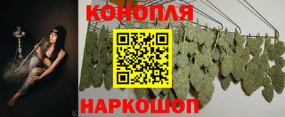 мяу мяу мука Заводоуковск