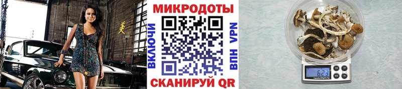 Галлюциногенные грибы мицелий Карабулак