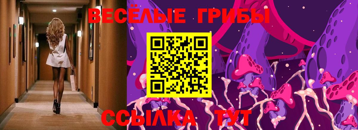 Галлюциногенные грибы GOLDEN TEACHER  Вход с VPN  Карабулак  купить   Галлюциногенные грибы ЛСД 