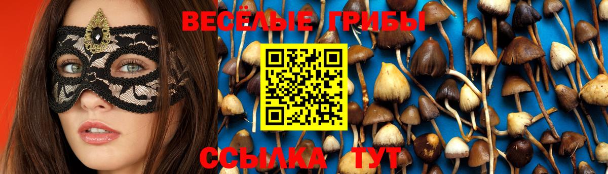 Псилоцибиновые грибы ЛСД Карабулак